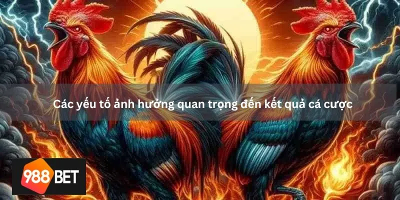 Các yếu tố ảnh hưởng quan trọng đến kết quả cá cược