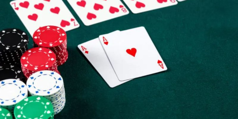 kucing-kartu-catte-bevisa-cuc-hieu-qua