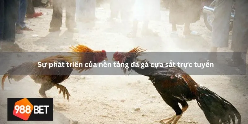 Sự phát triển của nền tảng đá gà cựa sắt trực tuyến